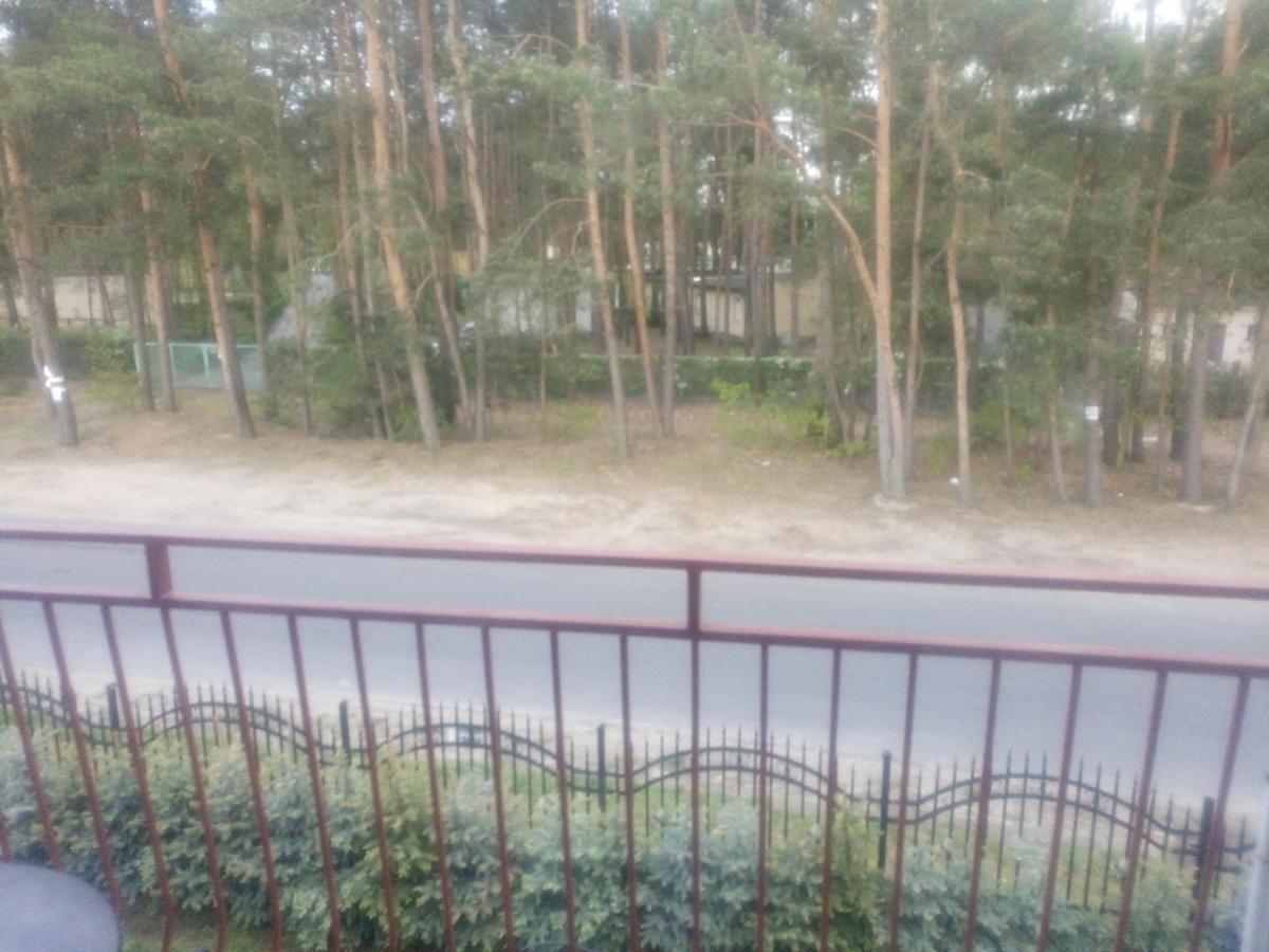 Проживання в сім'ї Boszkowianka